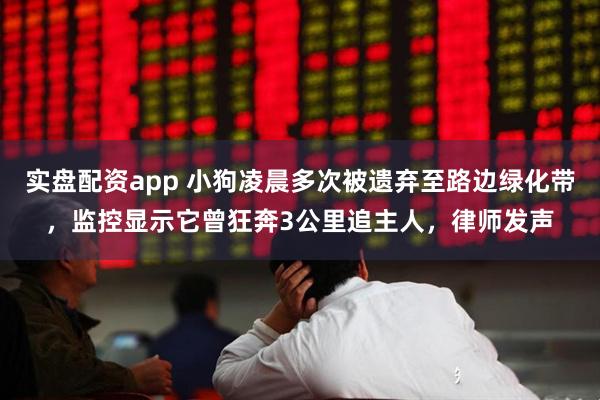 实盘配资app 小狗凌晨多次被遗弃至路边绿化带，监控显示它曾狂奔3公里追主人，律师发声
