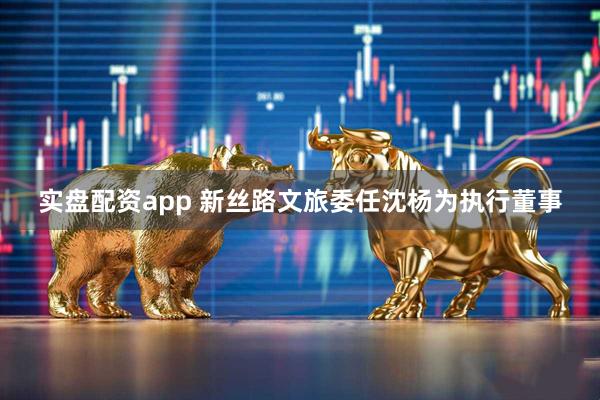 实盘配资app 新丝路文旅委任沈杨为执行董事