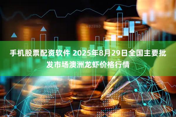 手机股票配资软件 2025年8月29日全国主要批发市场澳洲龙虾价格行情
