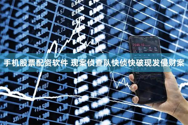 手机股票配资软件 现案侦查队快侦快破现发侵财案
